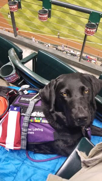 /Images/uploads/International Guiding Eyes Inc/gdapawsitivitycalendar/entries/20040thumb.jpg